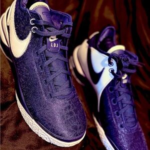 Nike Zoom NXXT Gen TB Promo LBJ Deep Purple and White Basketball Shoes